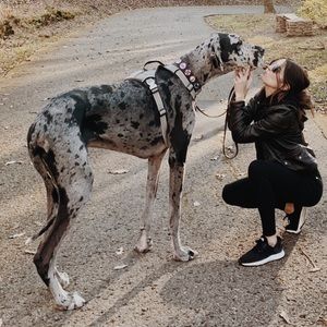 Meet your Posher, Jackie